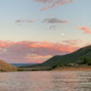 Meet your Posher, Viola